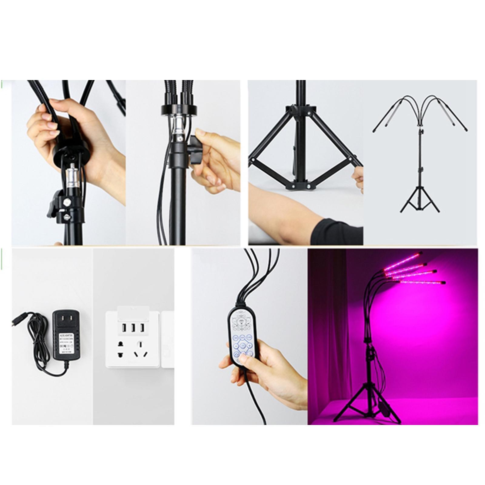 LED Grow Light Full Spectrum Lamp for Indoor Plant with Timer