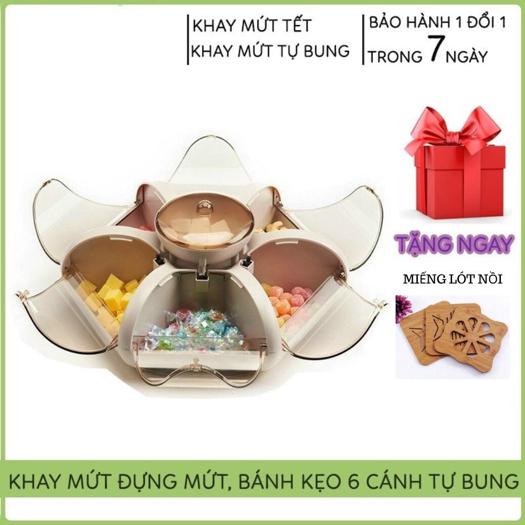 Khay Mứt Tết Khay Đựng Bánh Kẹo 6 Cánh Hoa Tự Bung Sang Chảnh, Lịch Sự