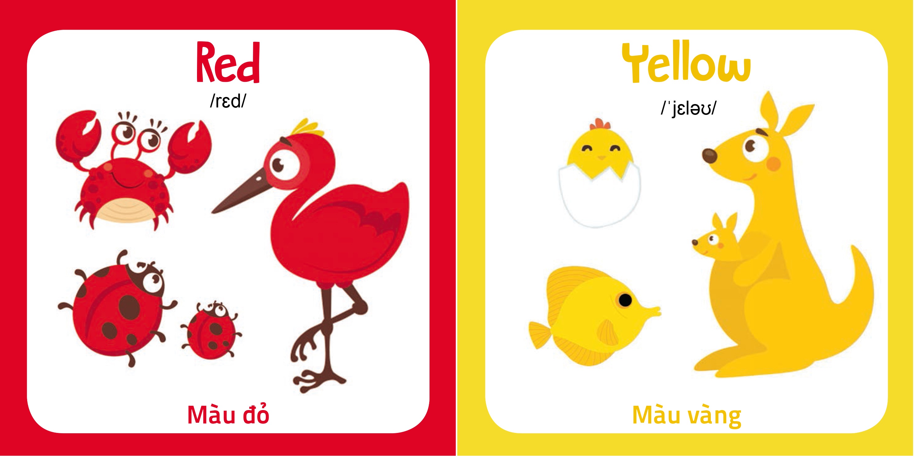 Bộ Sách - My First Picture Book 1 - Song Ngữ Anh Việt - Bìa Cứng 10 Chủ Đề Kèm File Nghe