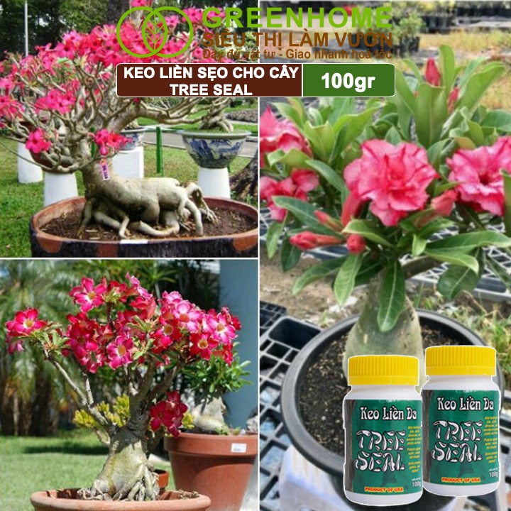 Keo Liền Sẹo Cho Cây Greenhome, Tree Seal, Chai 100gr, Liền Nhanh Vết Cắt Da Cây, Chiết Cành