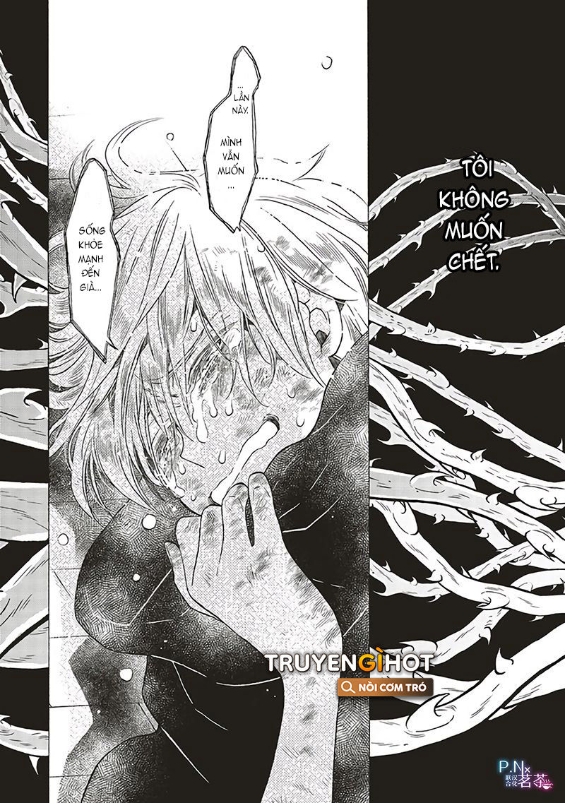 kẻ phản diện, cecilia silvie, không muốn chết, thế nên cô đã cải nam trang chapter 13.1 13