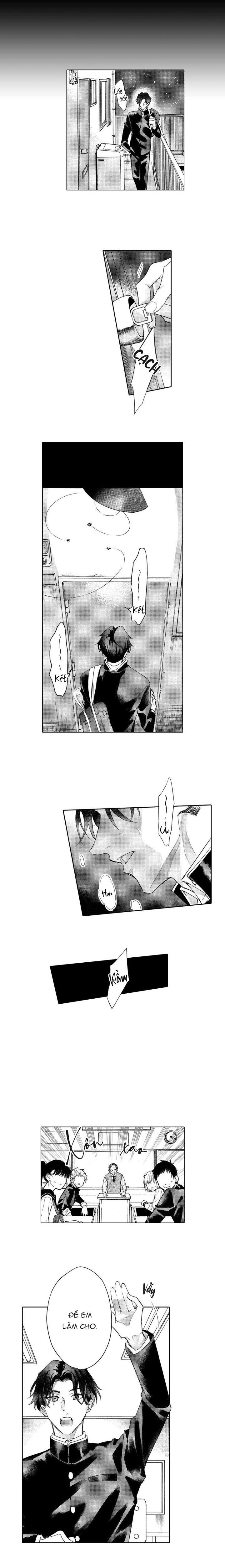 hiyoko-chan to harinezumi-kun chapter 9 9