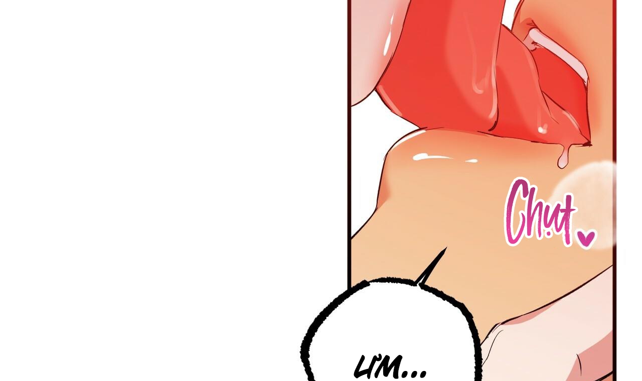 những chú thỏ của hapypy chapter 53 227