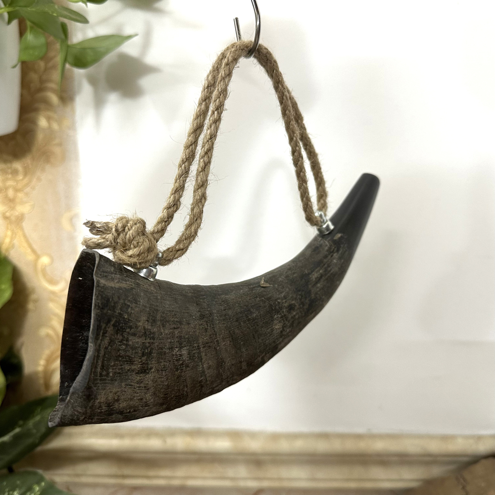 Kèn tù và sừng trâu - Dài 25cm - Loại sừng trâu thô