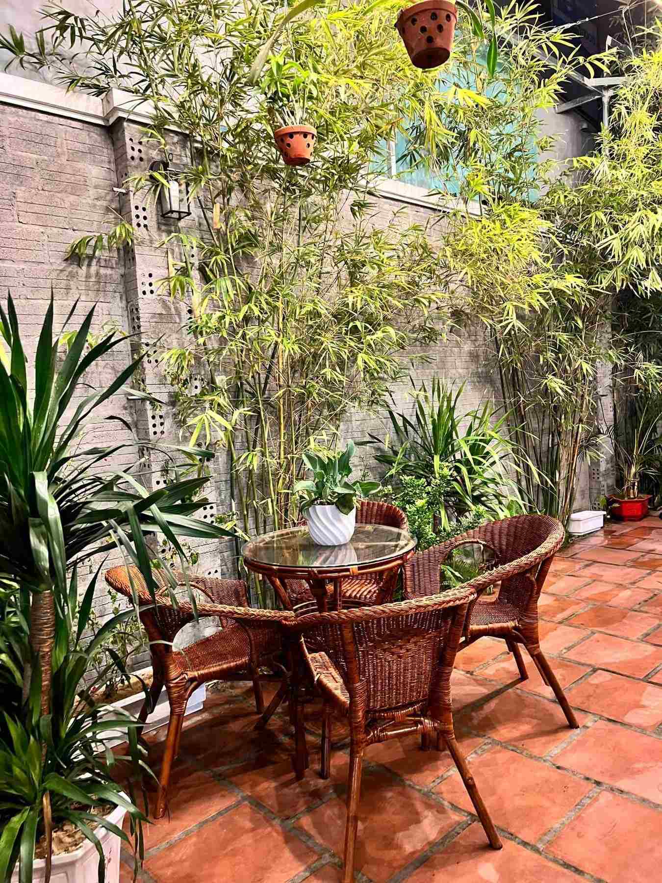 [Rẻ Vô Địch] Ghế Mây Ăn Gía Rẻ - Nội Thất Decor Mây Tre Đan