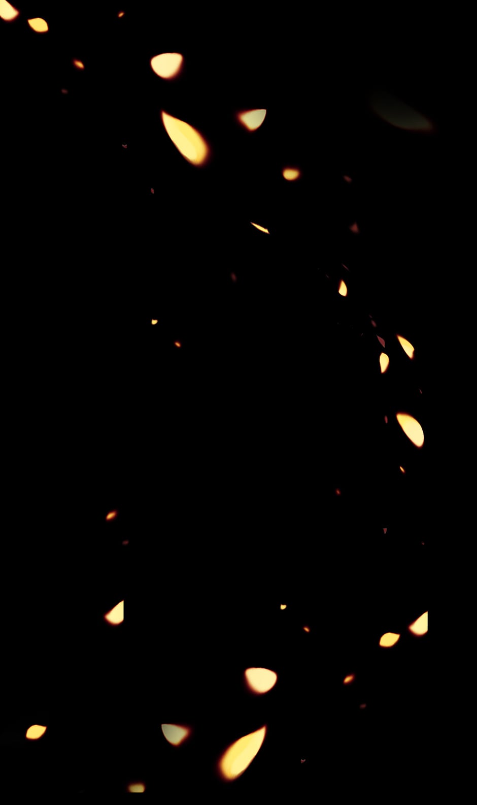 thư ký bí mật của bạo chúa chapter 1 48