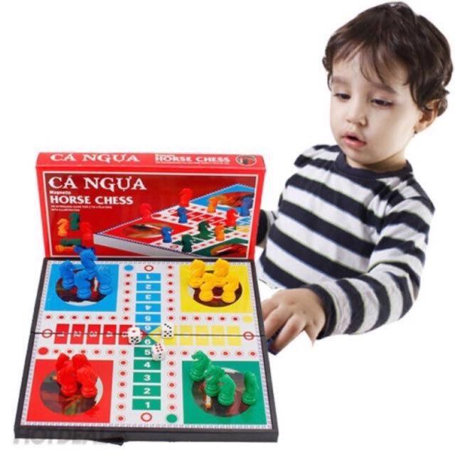 Bộ cờ cá ngựa nam châm cao cấp đủ các size