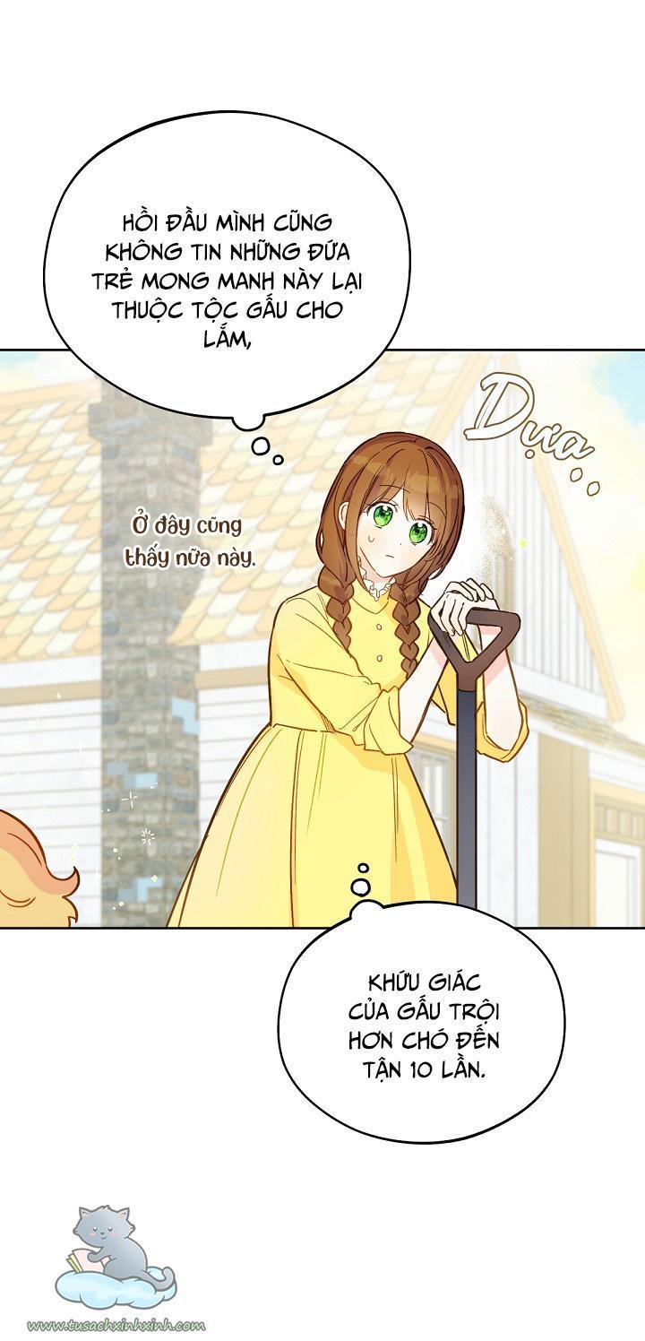 trang trại hạt dẻ cạnh hoàng cung chapter 20 51