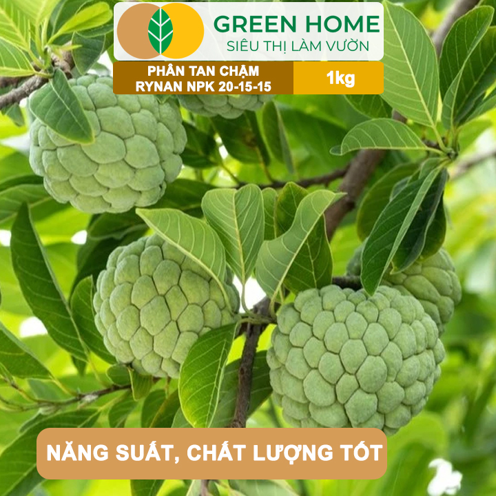 Phân Tan Chậm GreenHome, Rynan NPK 20-15-15, Túi 1kg, Dùng Cho Loại Cây Họ Leo Bầu Bí, Mướp, Dưa Leo