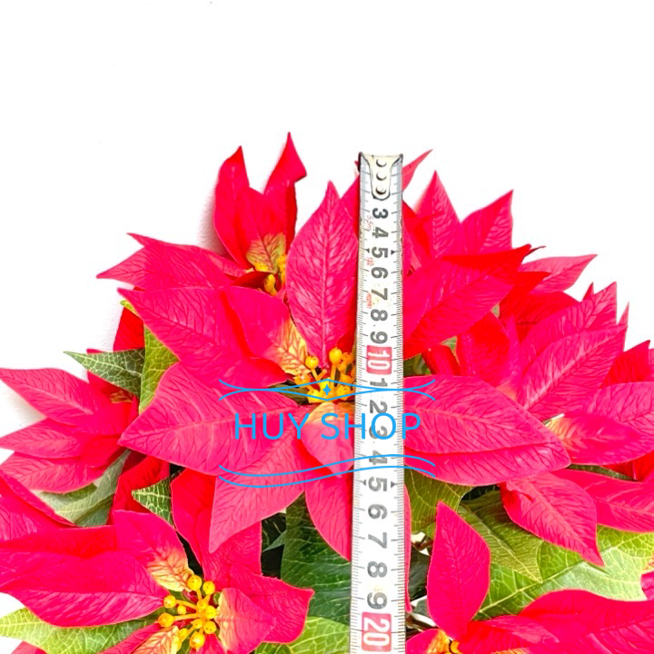 BỤI HOA TRẠNG NGUYÊN 12 NHÁNH VẢI CAO CẤP