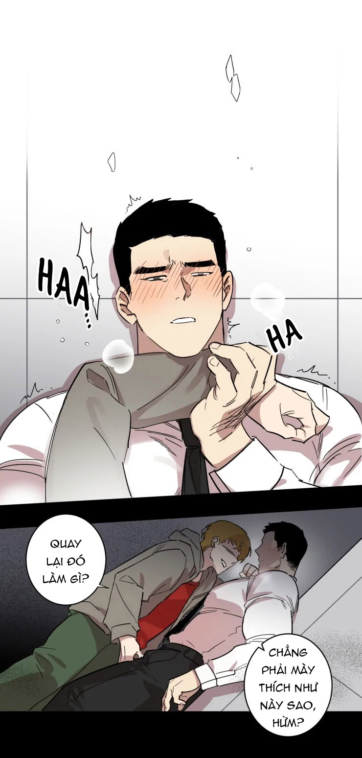 công dụng của cà vạt chapter 14 1