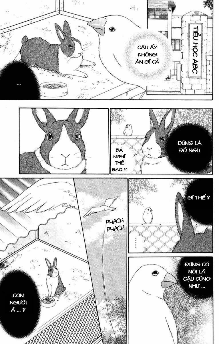 deep love - pao no monogatari chapter 11 11