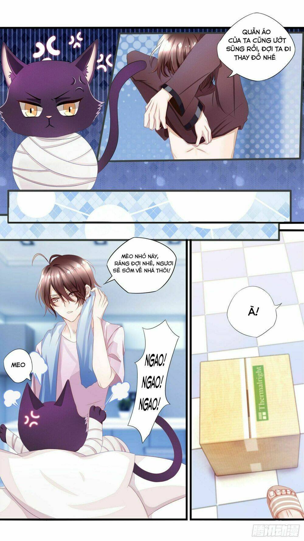 làm mèo của ta chapter 1 23