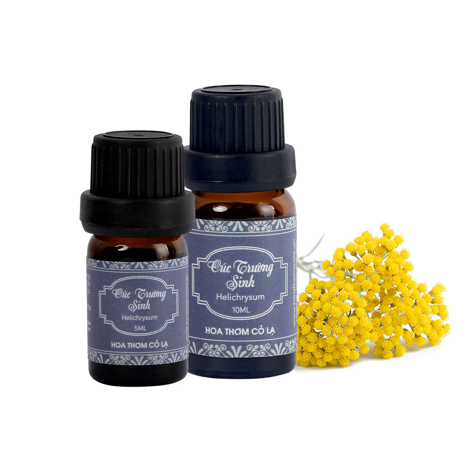 Tinh Dầu Cúc Trường Sinh - Helichrysum Essential Oil 5ml - Hoa Thơm Cỏ Lạ