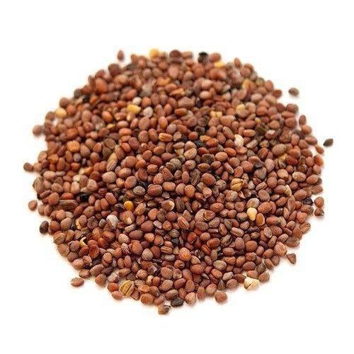 Hạt giống Củ Cải Trắng, đóng gói 20gr , dễ trồng, năng suất cao