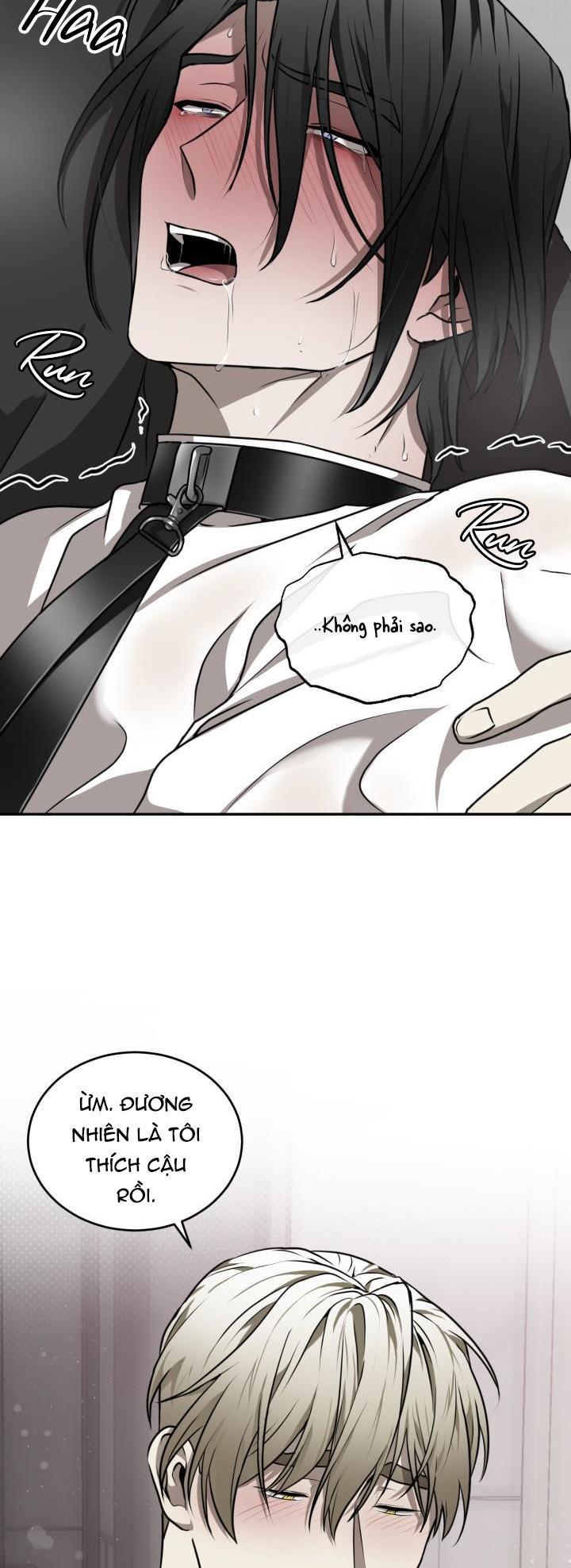 dưỡng thú cưng chapter 15 16