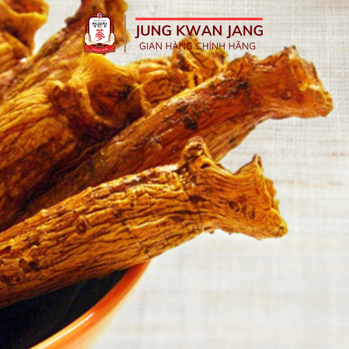 Lương Sâm Củ Khô Hàn Quốc Hộp Thiếc GOOD ROOTS KGC Jung Kwan Jang 150g (12 củ)