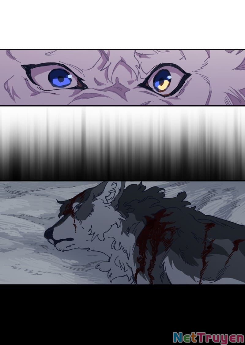 lumine - cội nguồn ánh sáng chapter 116 22