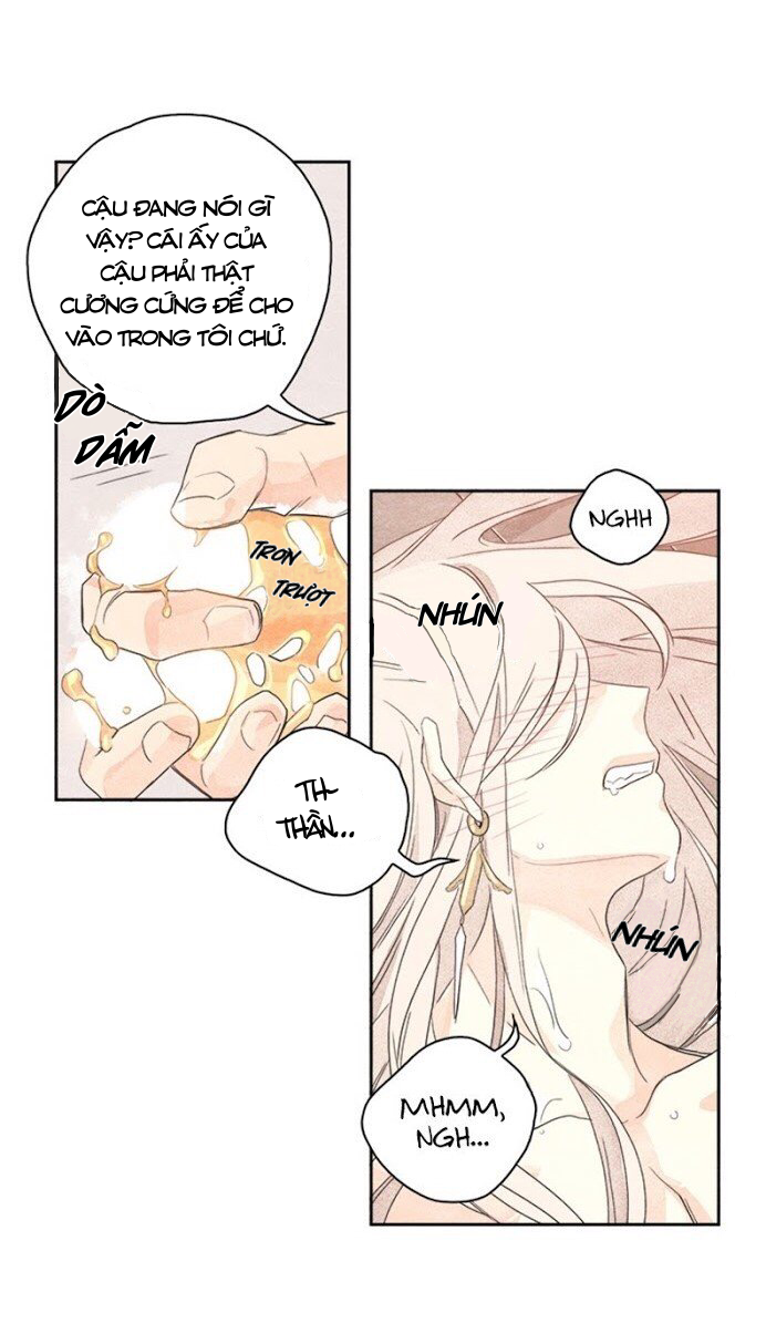 bắp cải bên dưới củ cải chapter 2 37