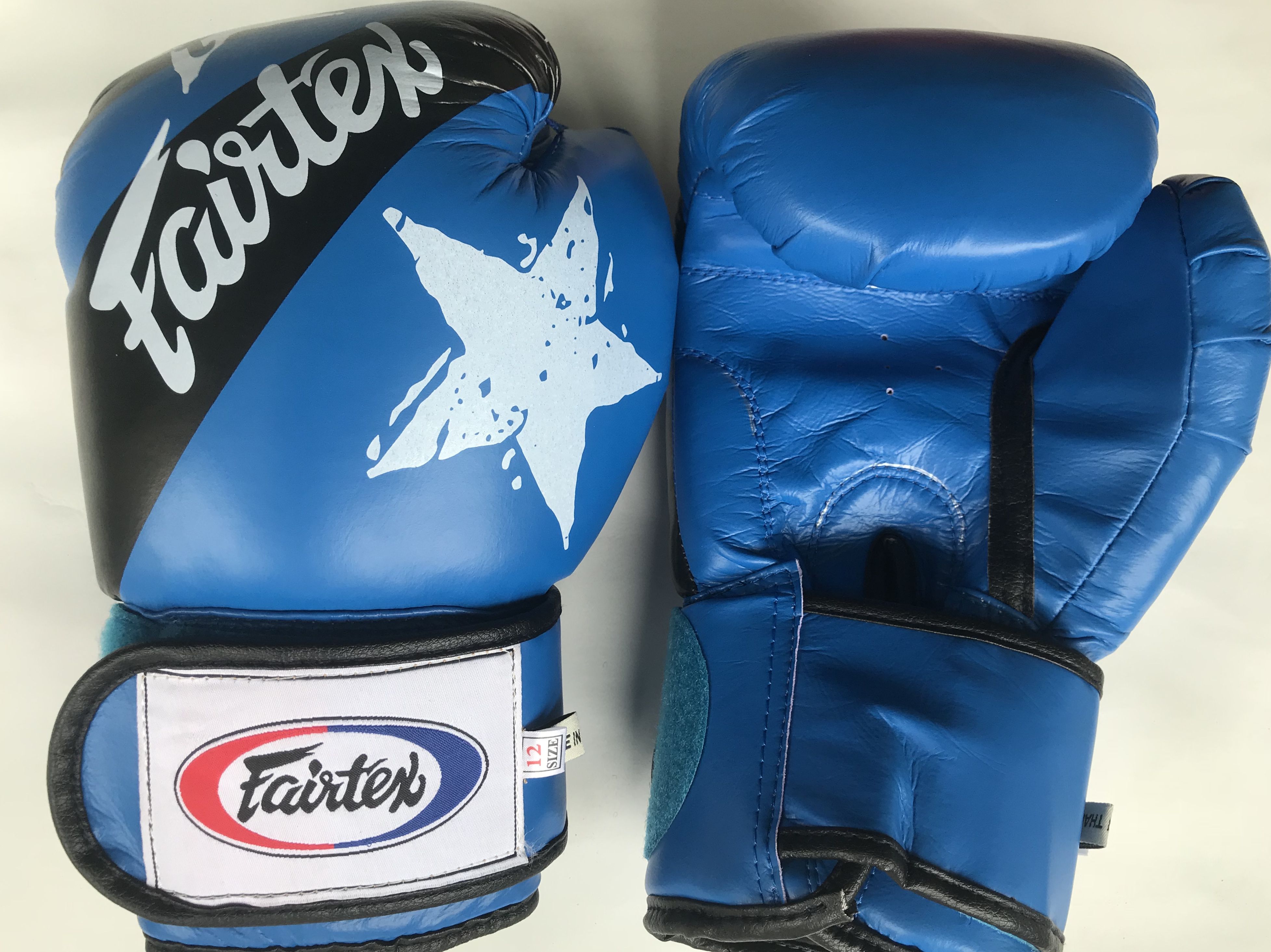 găng dấm bao cát, boxing hãng fairtex 10 oz giá sĩ