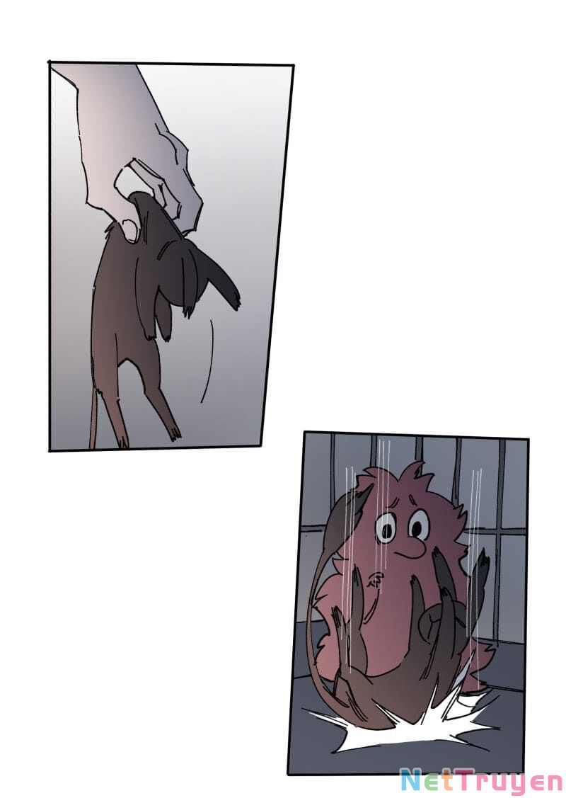 lumine - cội nguồn ánh sáng chapter 108 14