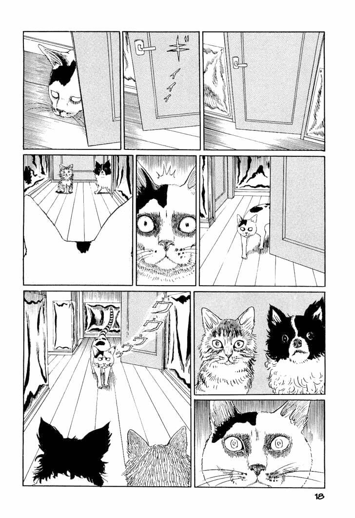 ito junji cat's diary chapter 2 6