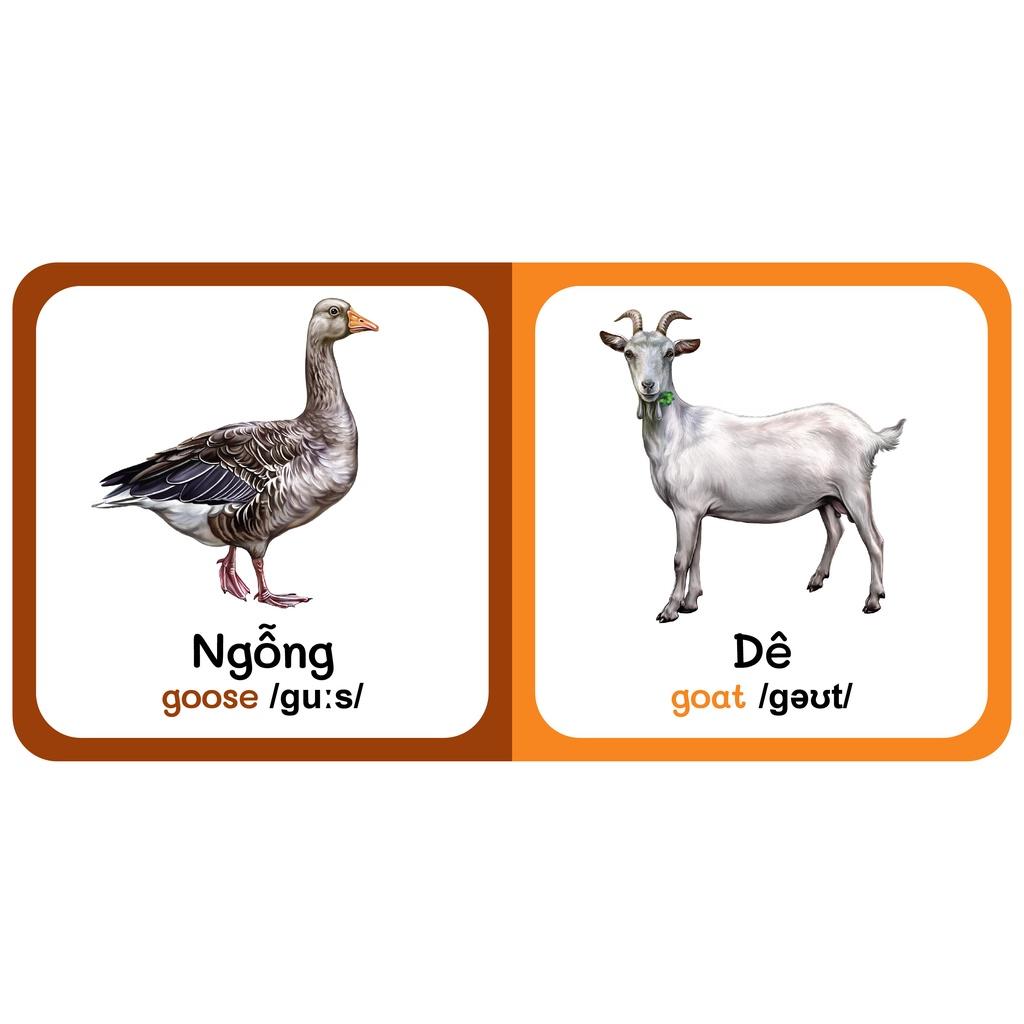 Sách - Baby'S First Picture Dictionary - Từ Điển Bằng Hình Đầu Tiên Của Bé - Động vật Nuôi - Farm AniMals (Bìa Cứng)