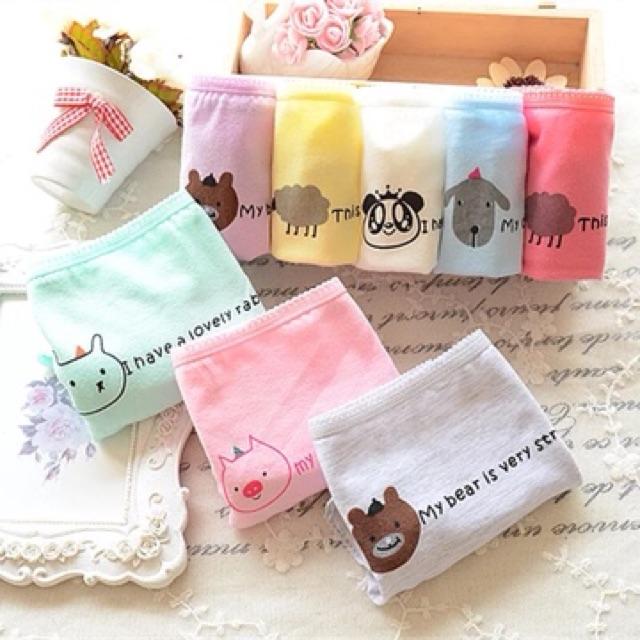 Quần Lót Nữ Cotton Hoa Hồng Thời Trang Xuất Hàn Hàng Loại Đẹp.