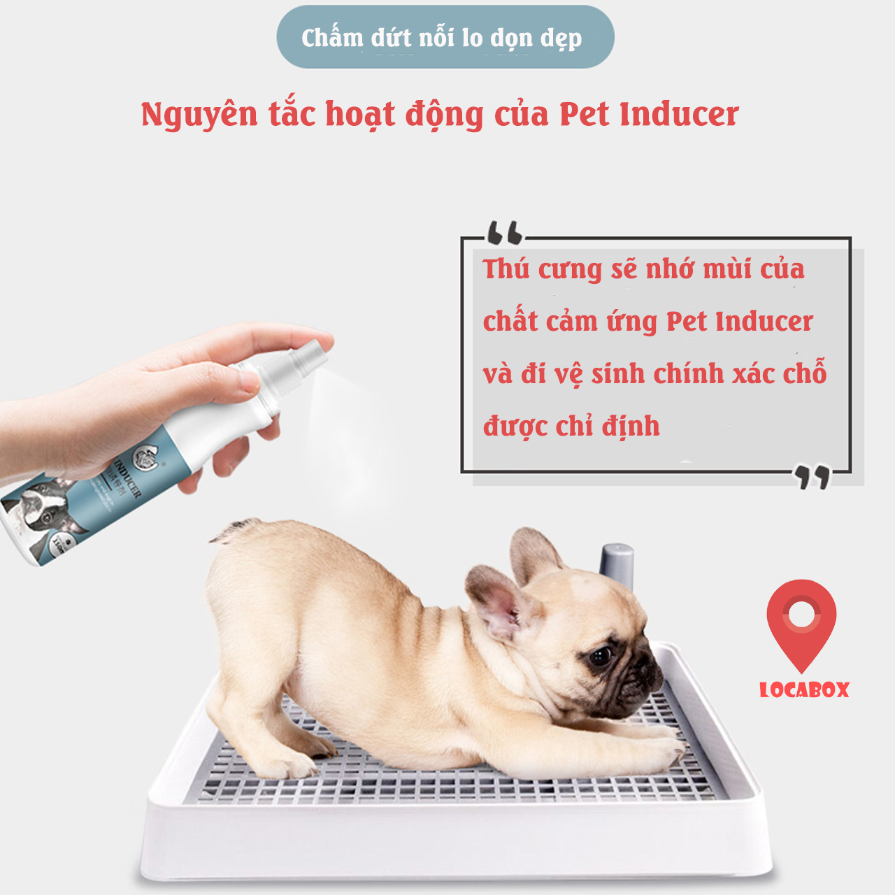 Cách dạy chó đi vệ sinh đúng chỗ - Pet Inducer - chai 150ML