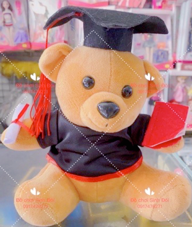 10 con thú bông gấu tốt nghiệp nhỏ 20 cm