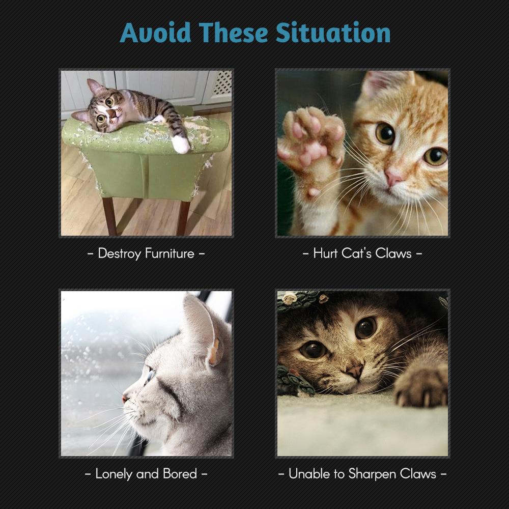 Đồ Chơi Cho Mèo Cào Bảng Lò Xo