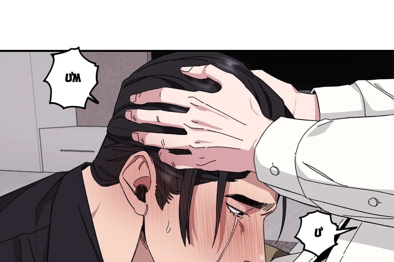 chàng dâu nhà họ kang chapter 34 112