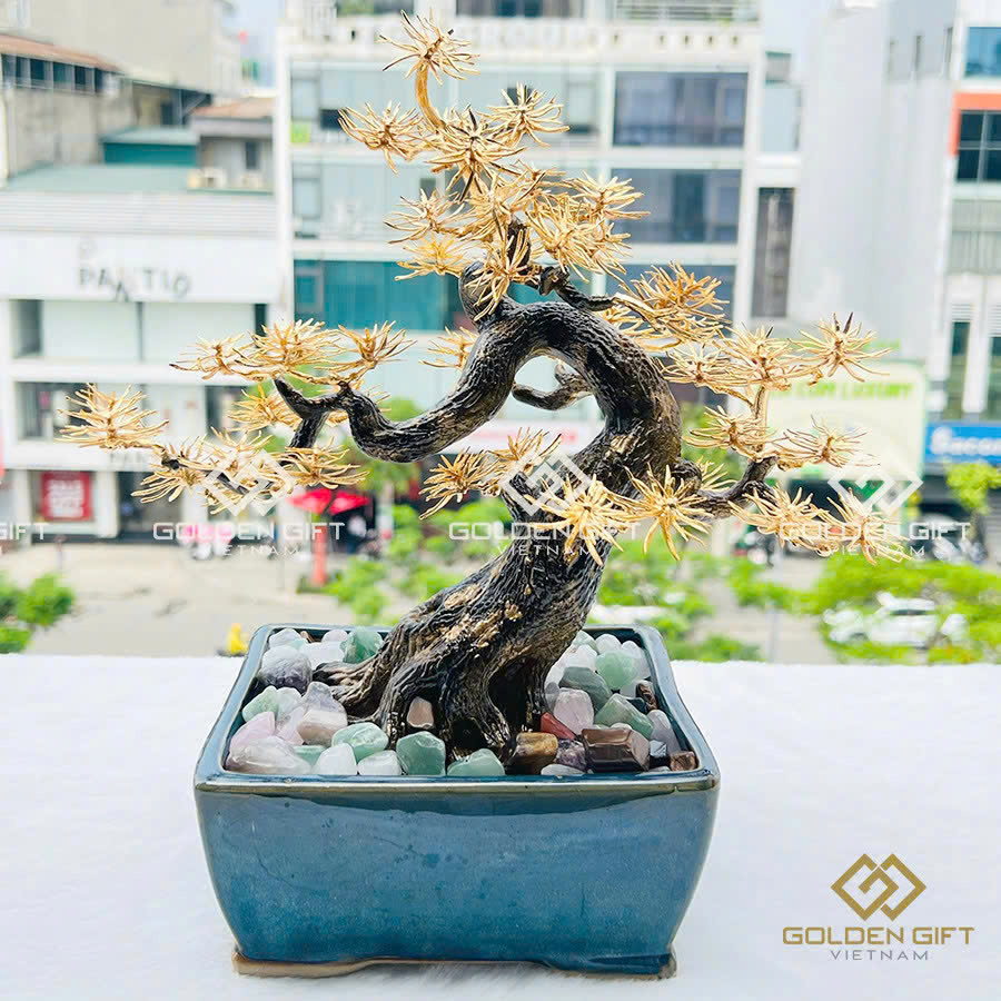 Cây Tùng La Hán mạ vàng