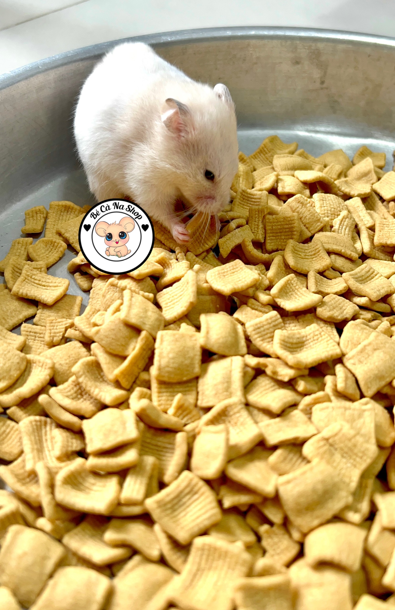 snack quế ,kích thích vị giác mới, thức ăn cho hamster thỏ bọ sóc..