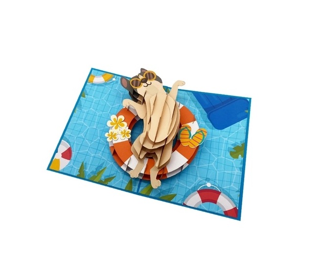 Thiệp 3D Mèo Dễ Thương Đi Bơi – Thiệp Pop Up Hài Hước, Độc Đáo, Tặng Sinh Nhật, Bạn Bè, Trẻ Em, A44