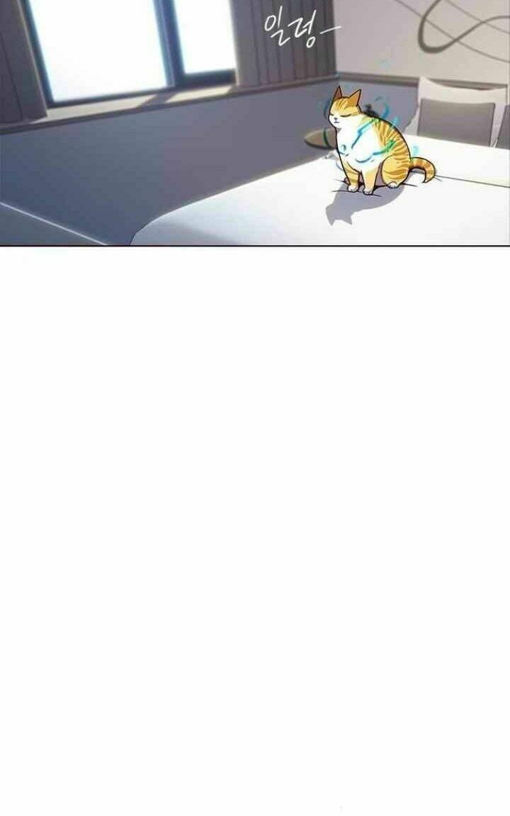 biến thân thành mèo chapter 95 36