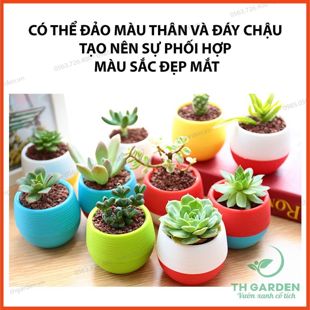 Chậu Trồng Cây Mini 7x7cm (Không Gồm Cây) Có Đáy Trữ Nước - Chậu Hoa Đa dạng màu sắc - Trang trí nhà cửa, văn phòng tuyệt đẹp