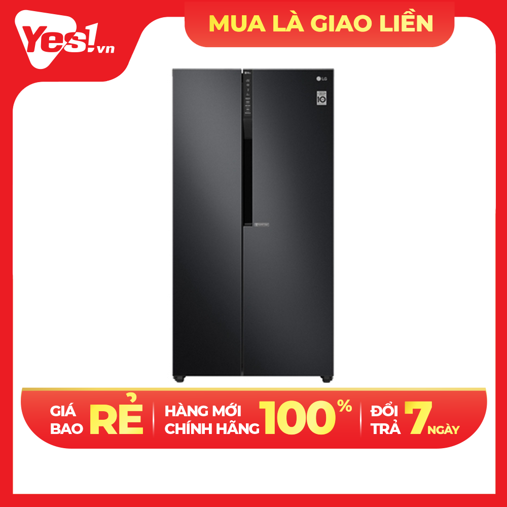 Tủ lạnh LG Inverter 613 lít  GR-B247WB  - Chỉ giao tại HCM