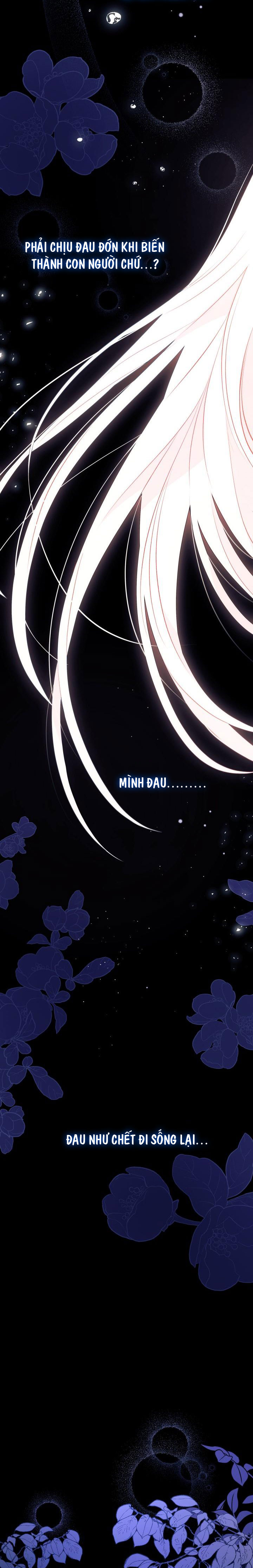 mối liên kết giữa báo đen và bé thỏ chapter 39.1 11