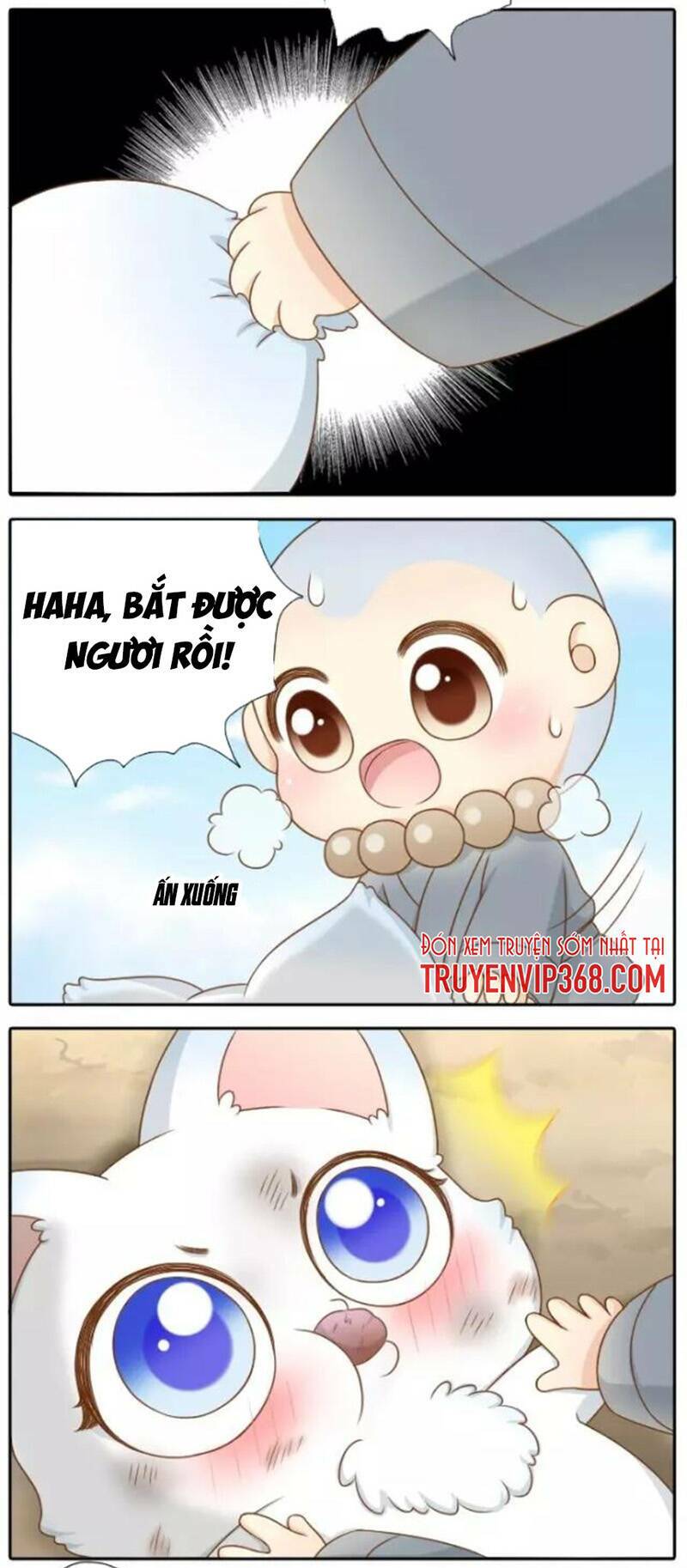 tiểu hoà thượng - chào mừng đến trấn yêu quái chapter 31 5