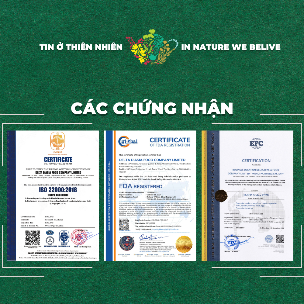 Trà Đông Trùng Hạ Thảo Tứ Vị Táo Đỏ Sunbeleaf – Bồi Bổ Cơ Thể, Bổ Khí Huyết, Tốt Cho Tim Mạch, Chống Lão Hóa – Hộp 10 Đến 20 Gói