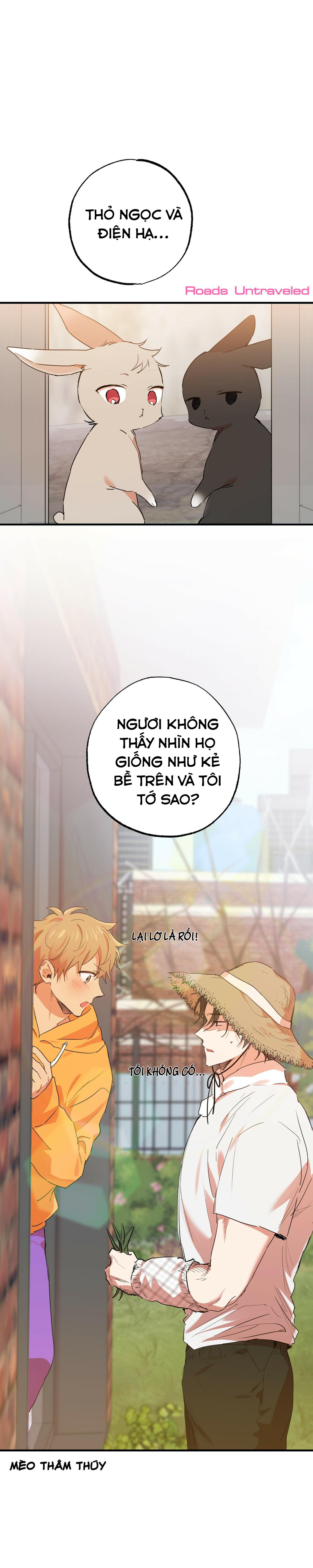 đàn thỏ của habibi chapter 10 36