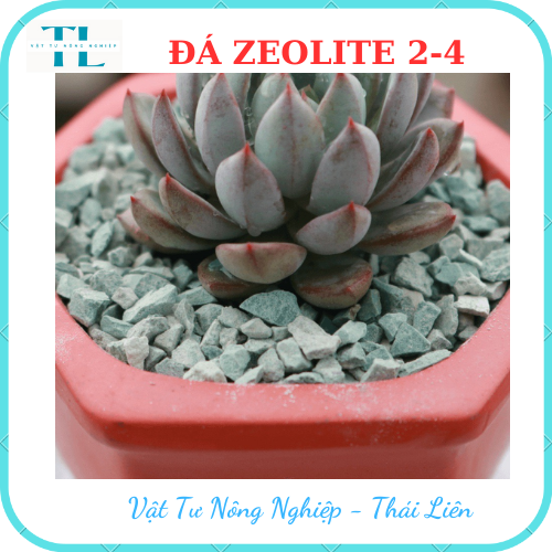 Đá zeolite Greenhome, bao 1kg, size 2-4mm, rãi mặt, giá thể, sen đá, xương rồng, hồ thuỷ sinh