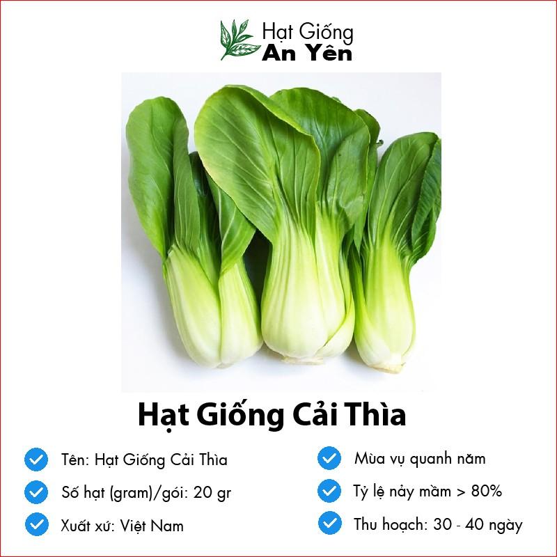 Hạt giống Cải Thìa ,Cải Chip, thu hoạch sớm, dễ trồng, nảy mầm cao, sinh trưởng khoẻ