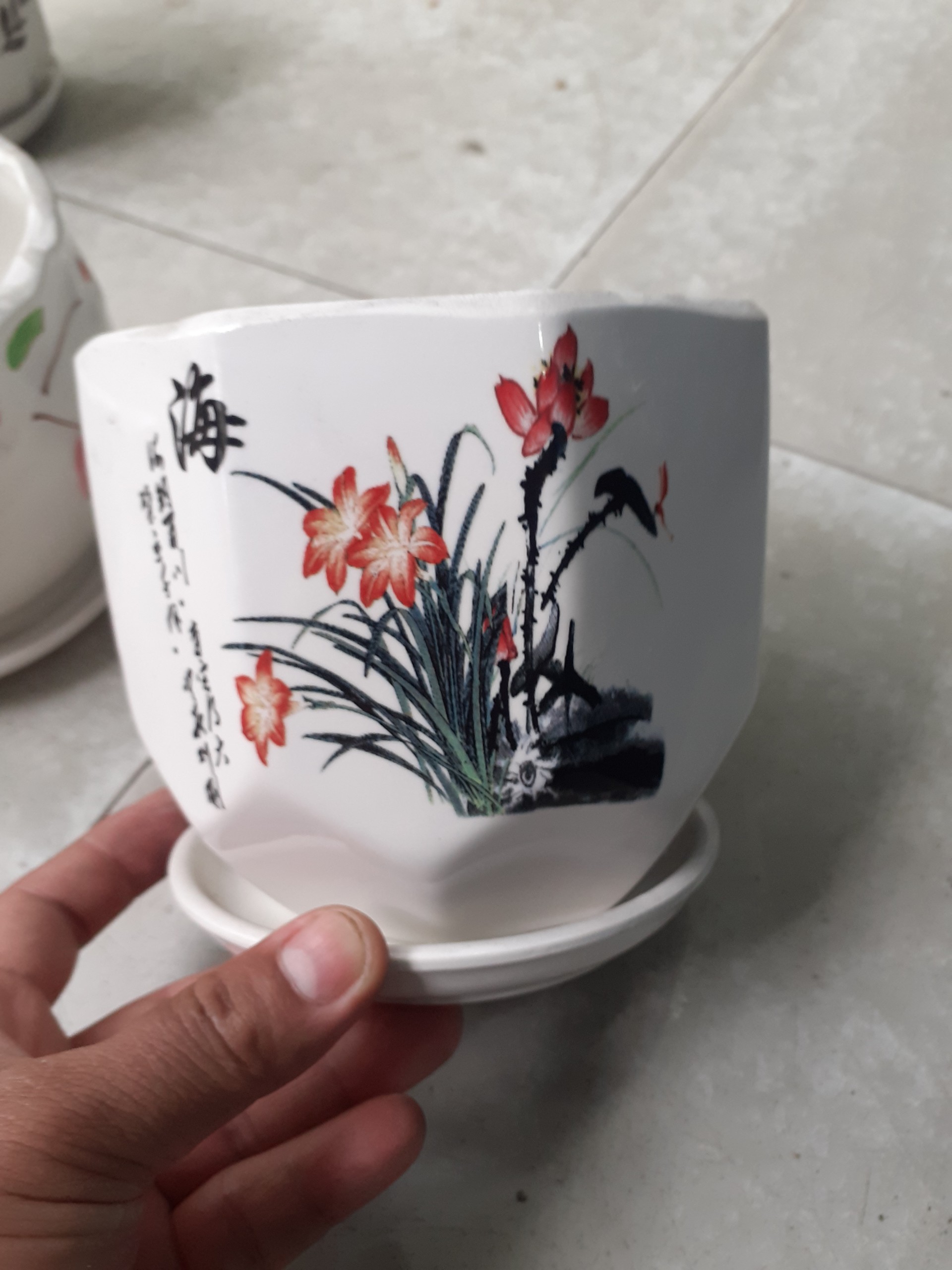 Chậu kèm dĩa BÁT GIÁC hoa