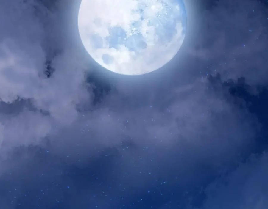 người cá học yêu chapter 2 37