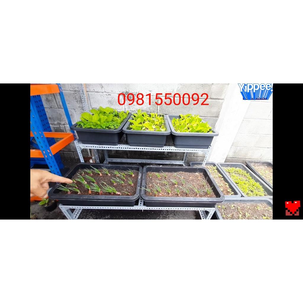 Kệ sắt trồng rau thông minh 2 tầng 5 khay nhựa có BÁNH XE bao chắc chắn tiện lợi