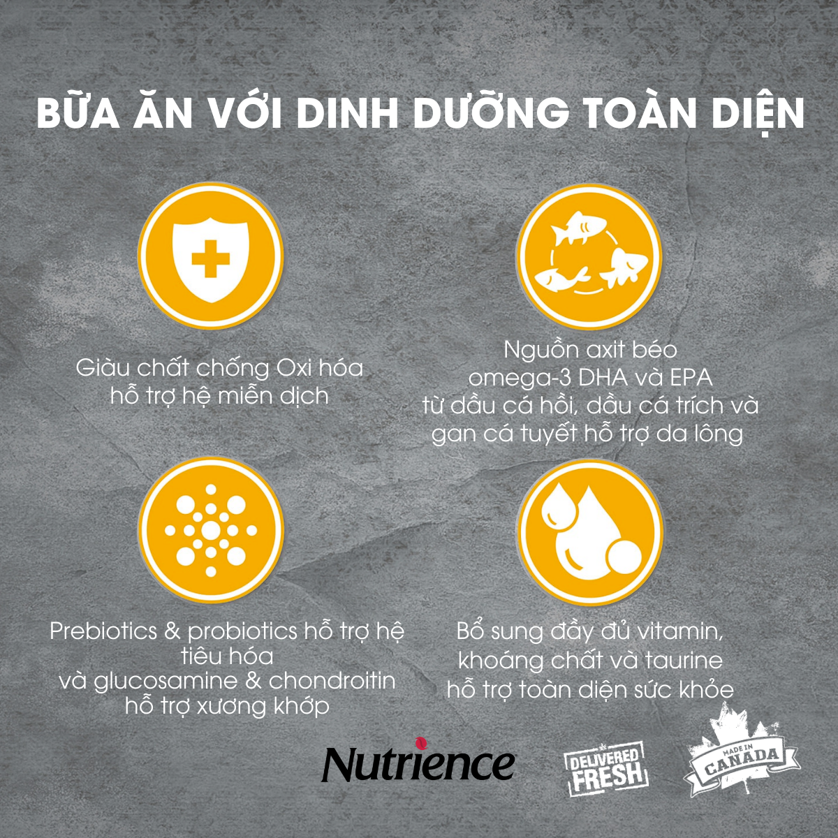 Thức Ăn Cho Chó Lớn Nutrience Infusion - Thịt Gà Tây, Rau Củ Và Trái Cây Tự Nhiên
