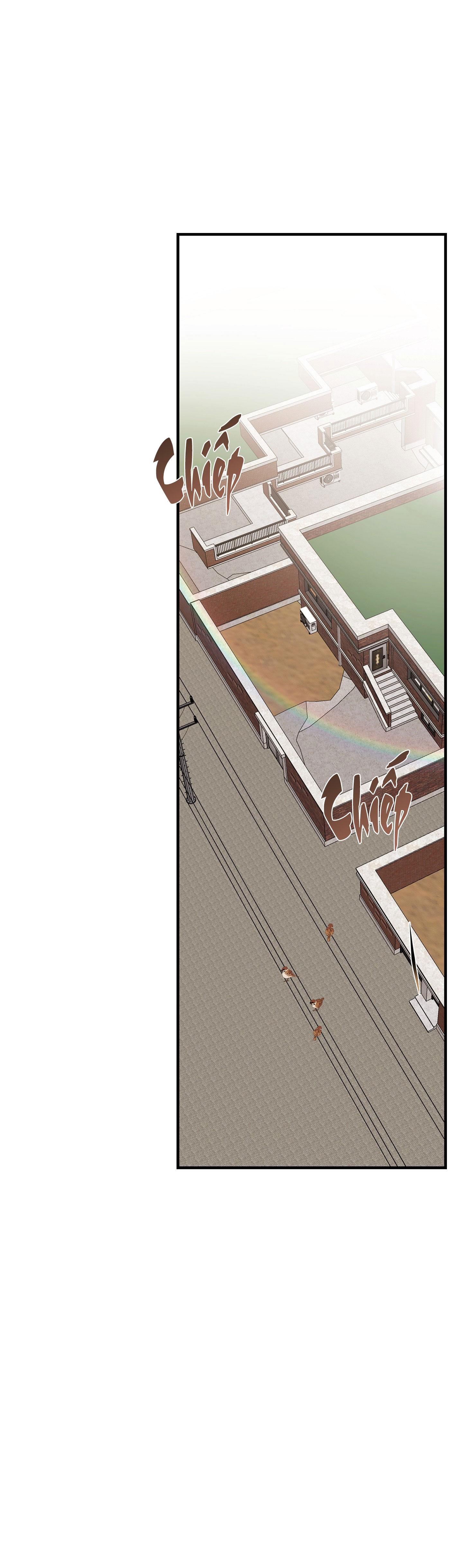 hổ trở về chapter 25 1