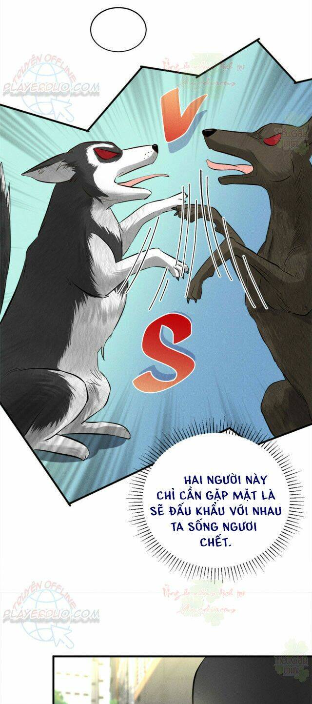 tôi trở thành tổ tông của 5 vị đại lão chapter 19 23